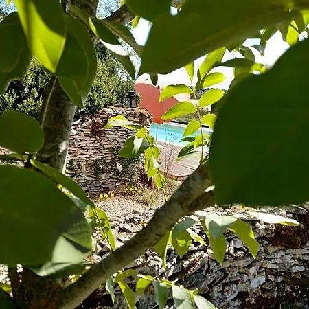 Le Pardès Jardin Et Piscine *
